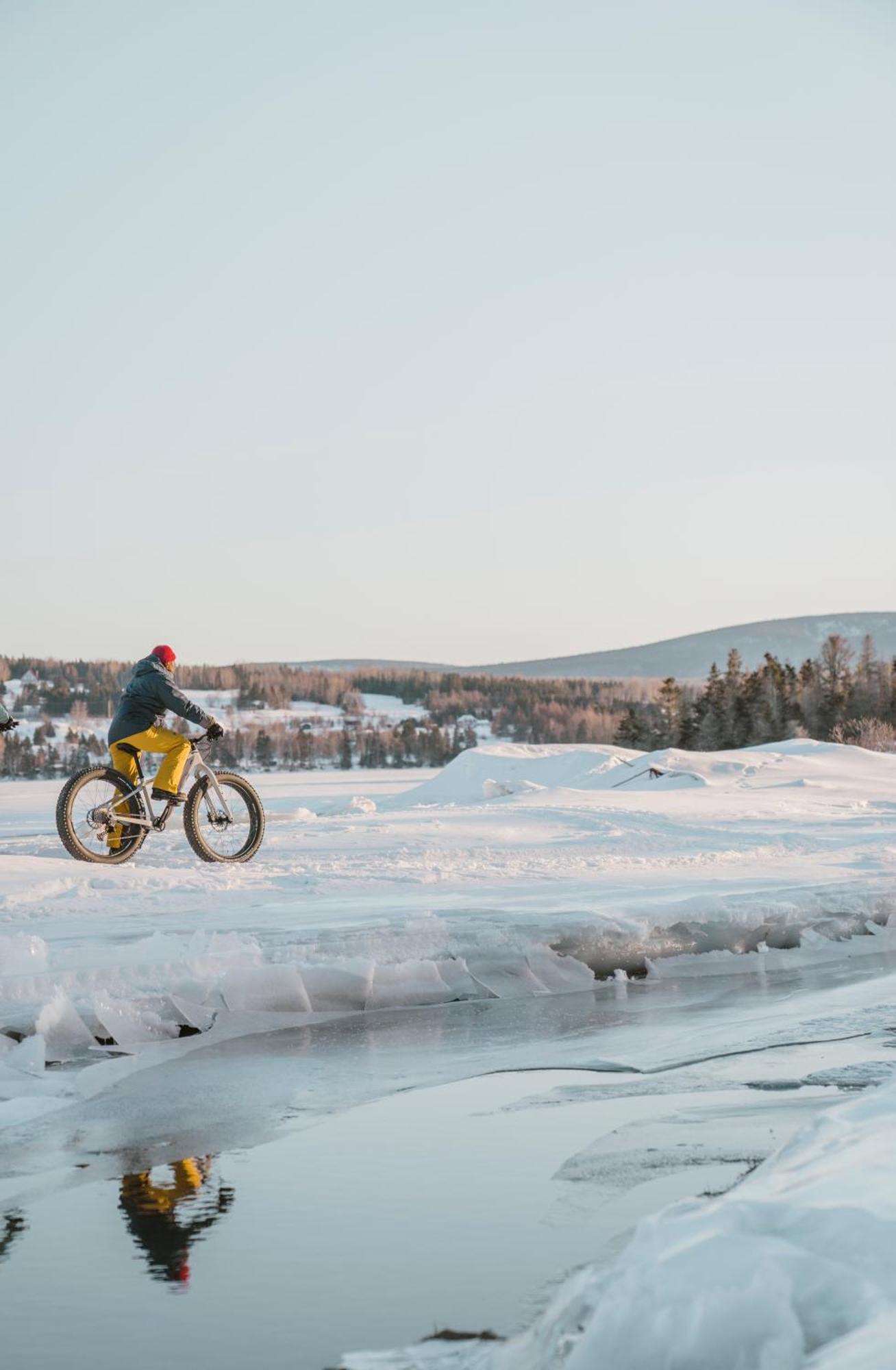 Chalets Du Bout Du Monde Gaspé Buitenkant foto