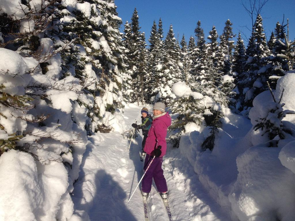 Chalets Du Bout Du Monde Gaspé Buitenkant foto